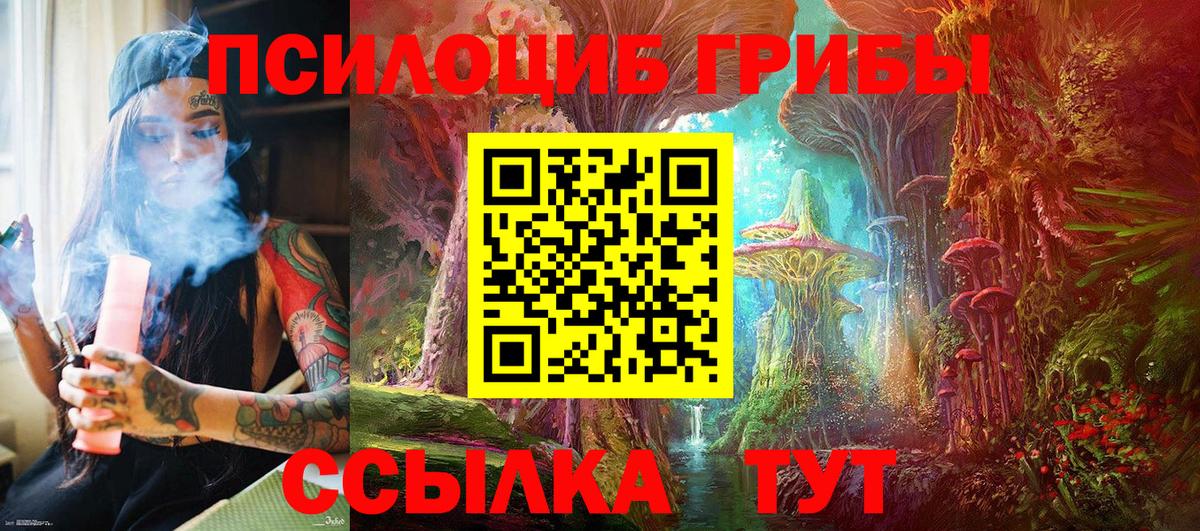 Псилоцибиновые грибы прущие грибы  Вход с VPN  сколько стоит  Саяногорск 